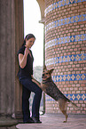 standing Australian Cattle Dog