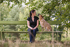 sitting Australian Cattle Dog