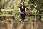 lying Australian Cattle Dog