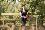 lying Australian Cattle Dog