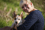 Australian Cattle Dog puppy