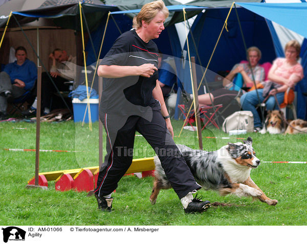 Agility / AM-01066