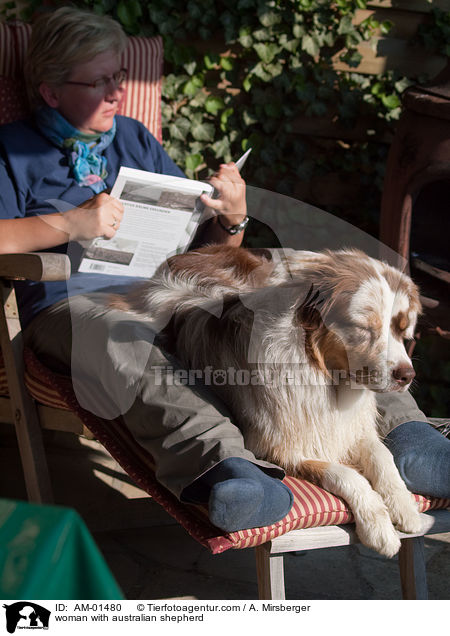 Frau mit Australian Shepherd / woman with australian shepherd / AM-01480