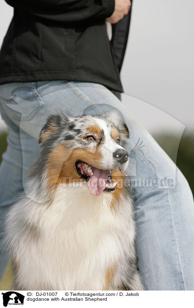 Dog Dancing mit Australian Shepherd / dogdance with Australian Shepherd / DJ-01007