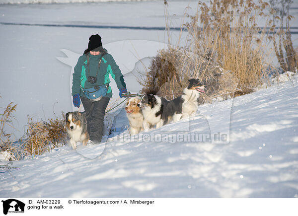 going for a walk / AM-03229