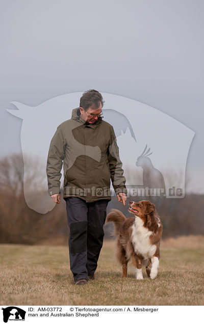 man and Australian Shepherd / AM-03772