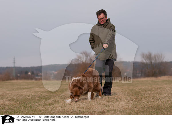 man and Australian Shepherd / AM-03774