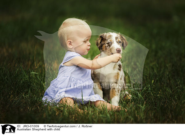 Australian Shepherd mit Kind / Australian Shepherd with child / JRO-01009