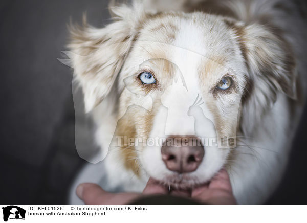 Mennsch mit Australian Shepherd / human with Australian Shepherd / KFI-01526
