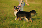 young woman with Australian Shepherd