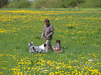man with Australian Shepherds