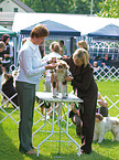 dog show