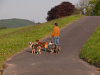 to go walkies