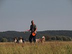 playing Australian Shepherds