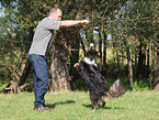 Australian Shepherd at Dog Dancing