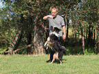 Australian Shepherd at Dog Dancing