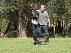 Australian Shepherd at Dog Dancing
