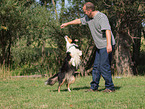 Australian Shepherd at Dog Dancing