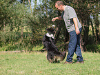 Australian Shepherd at Dog Dancing