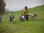 woman and Australian Shepherd