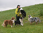 woman and australian shepherds