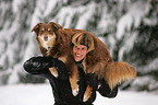 woman and australian shepherd