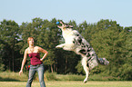 playing Australian Shepherd