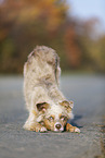 invitation to play