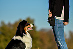 woman with Australian Shepherd