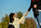 woman with Australian Shepherd