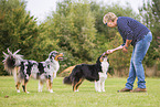 woman with Australian Shepherds