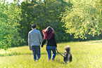 humans with Australian Shepherd