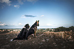 2 dogs
