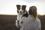 female Australian Shepherd