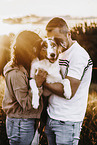 Pair with Australian Shepherd