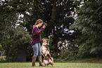 Australian Shepherd at dog sport