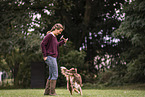 Australian Shepherd at dog sport