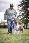 Australian Shepherd at dog sport