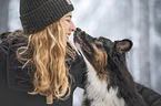 Australian Shepherd in winter