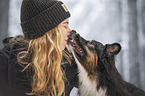 Australian Shepherd in winter