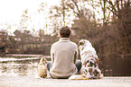 dogs