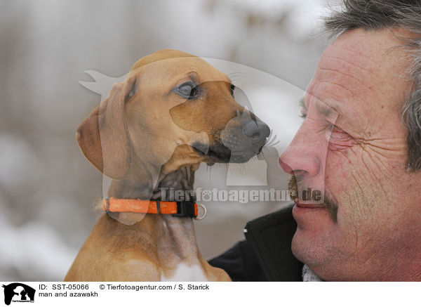 Mann und junger Azawakh / man and azawakh / SST-05066