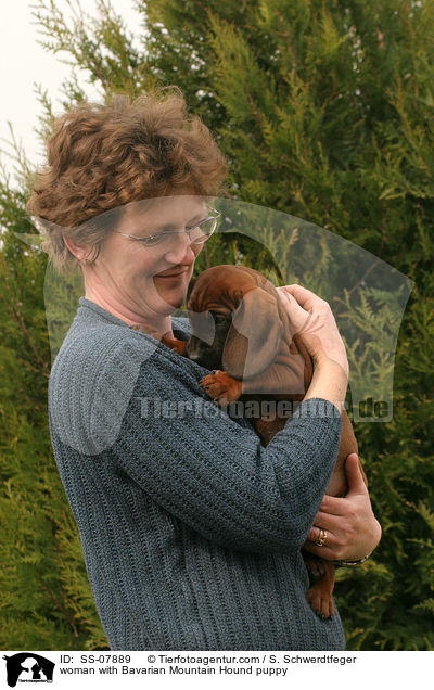 Frau mit Bayerischer Gebirgsschweihund Welpe / woman with Bavarian Mountain Hound puppy / SS-07889