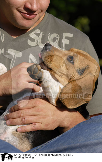 Hund wird geknuddelt / cuddling the dog / AP-01535