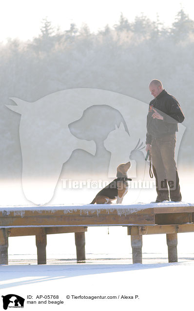 Mann und Beagle / man and beagle / AP-05768