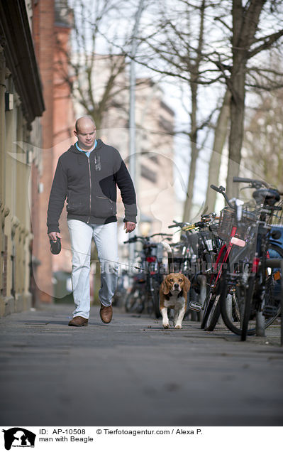 Mann mit Beagle / man with Beagle / AP-10508