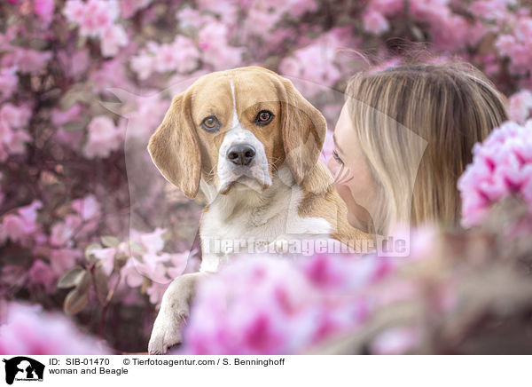 Frau und Beagle / woman and Beagle / SIB-01470