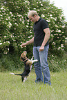 puppy jump at man