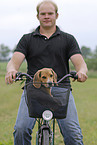 biking with dog