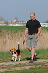 walk the dog